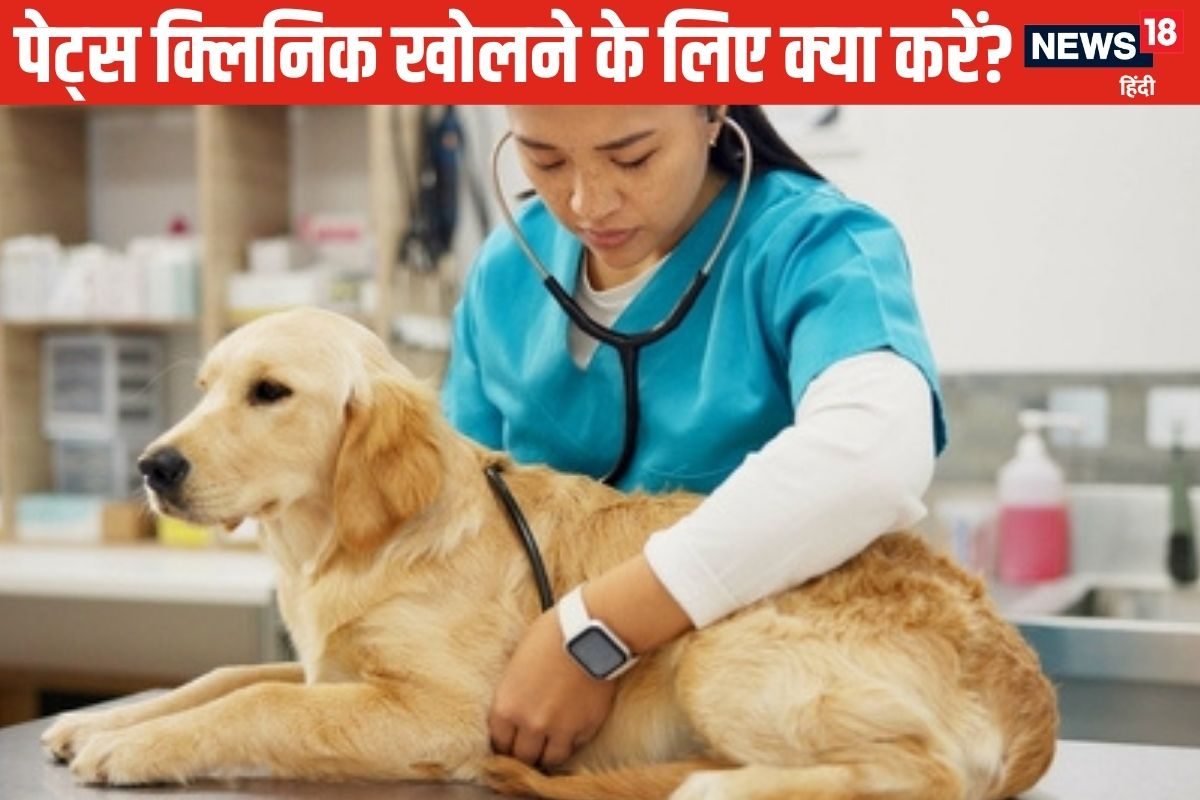 कुत्तों पर बहस: कैसे बनें वेटरनरी डॉक्टर कैसे खोलें पेट्स क्लिनिक