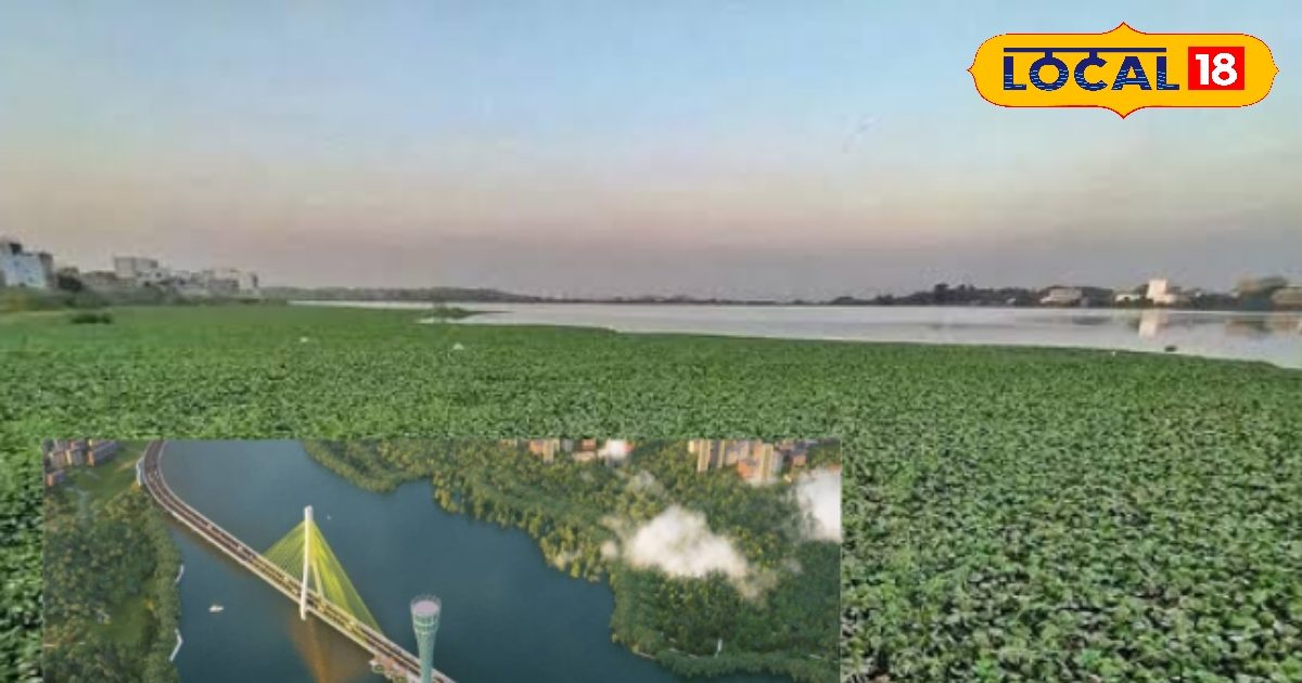 Hyderabad A New Bridge Will Be Built On Mir Alam Tank At A Cost Of Rs hyderabad-a-new-bridge-will-be-built-on-mir-alam-tank-at-a-cost-of-rs