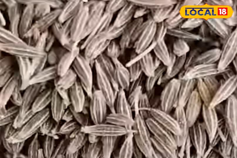 Cumin 