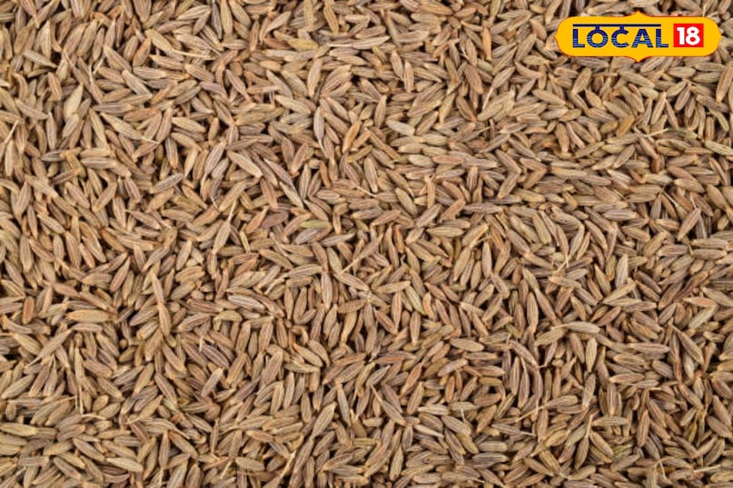 Cumin 