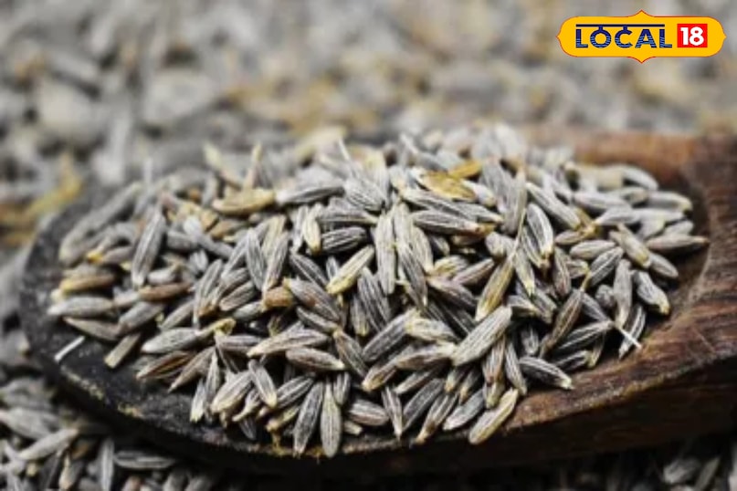 Cumin 