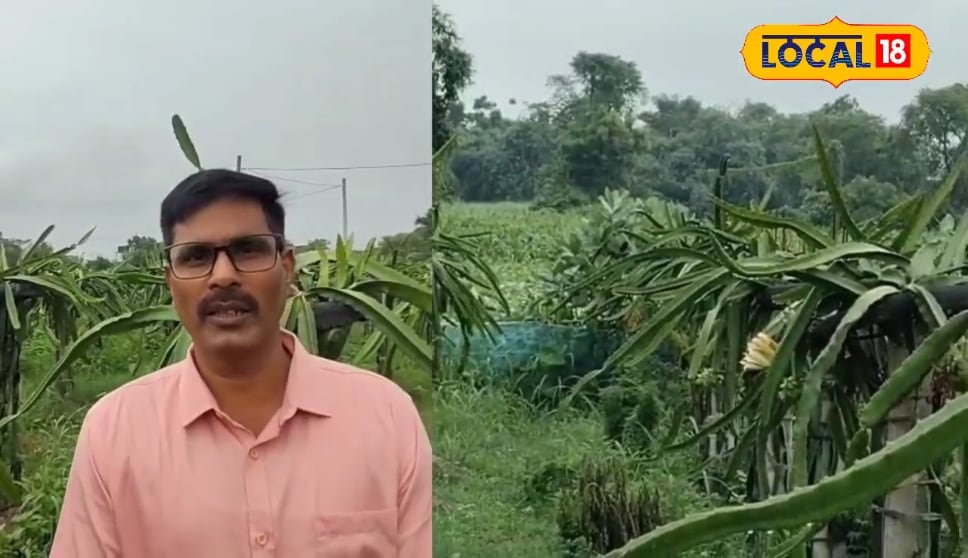रिटायर्ड फौजी ने यूट्यूब पर सीखा इस खेती का तरीका, अब हो रही छप्परफाड़ कमाई