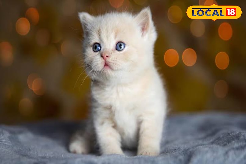 ग्रह रहेगा शांत