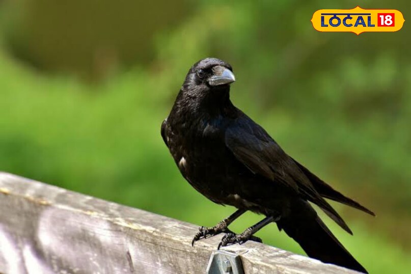 खूब मिलेगा फलदायक