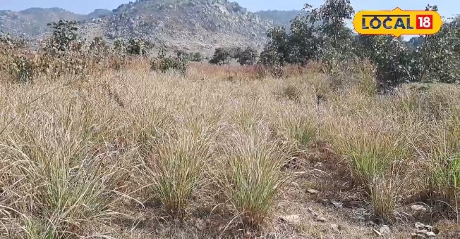 वाह! मंजू देवी.. महिला किसान बंजर भूमि से सालाना कमा रही 12 लाख रुपये