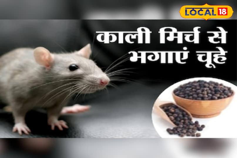 news 18 news 18