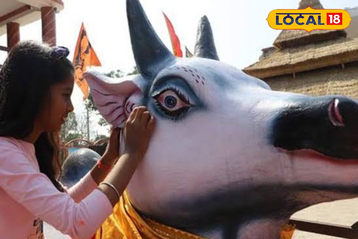 बायां या दायां? नंदी के कान में मनोकामना बोलने का सही तरीका, जरूर करें यह काम