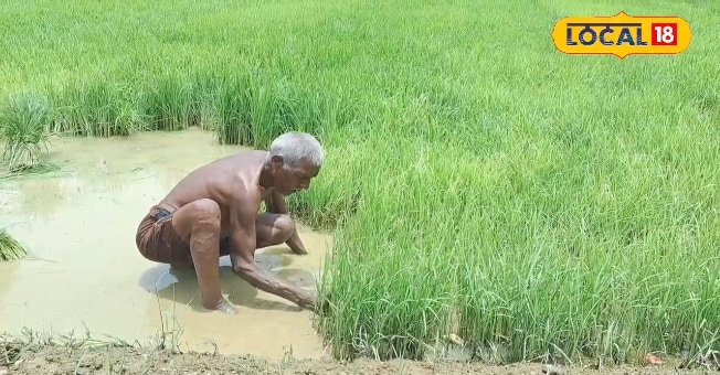 बिहार के इस जिले में 32000 किसानों को नहीं मिला किसान सम्मान निधि, जानें वजह
