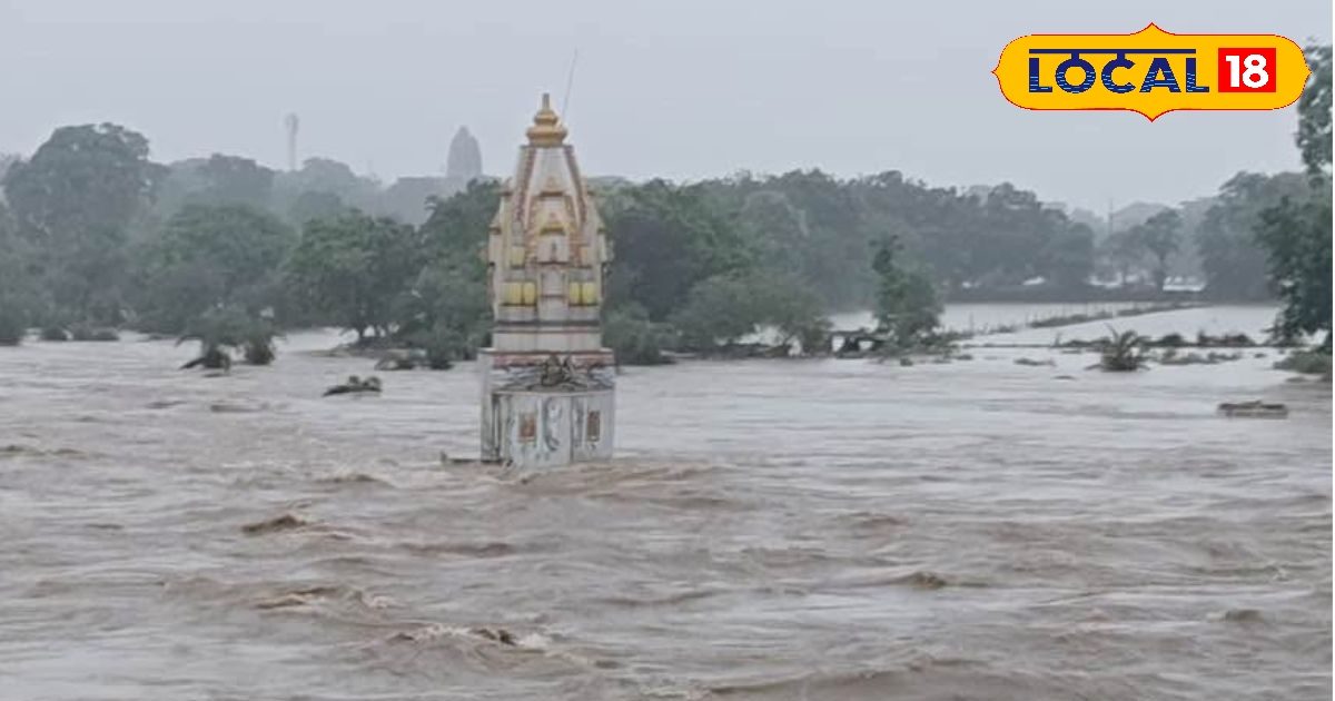 MP Weather Update Live: एमपी में फिर बरसेगा आसमान! इन जिलों में भारी बारिश और वज्रपात का अलर्ट, चित्रकूट में बाढ़ जैसे हालात