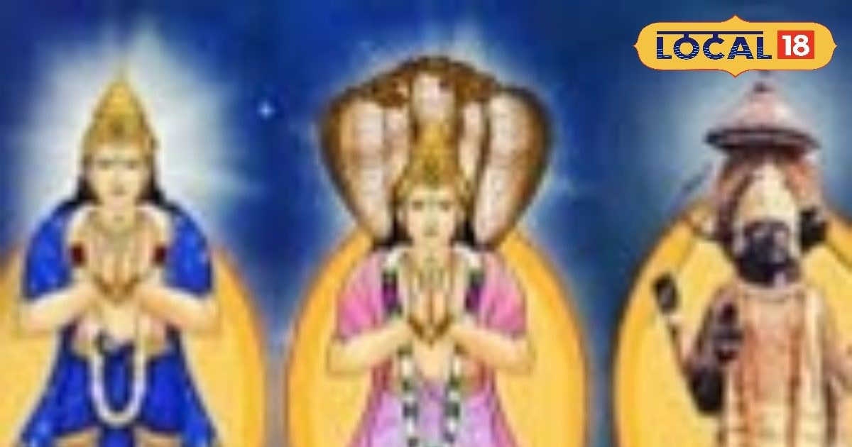 Astro Tips: राहु-केतु, शनि तुरंत कर देंगे आप पर कृपा! बस इन जानवरों की करनी होगी सेवा, जानें अचूक उपाय