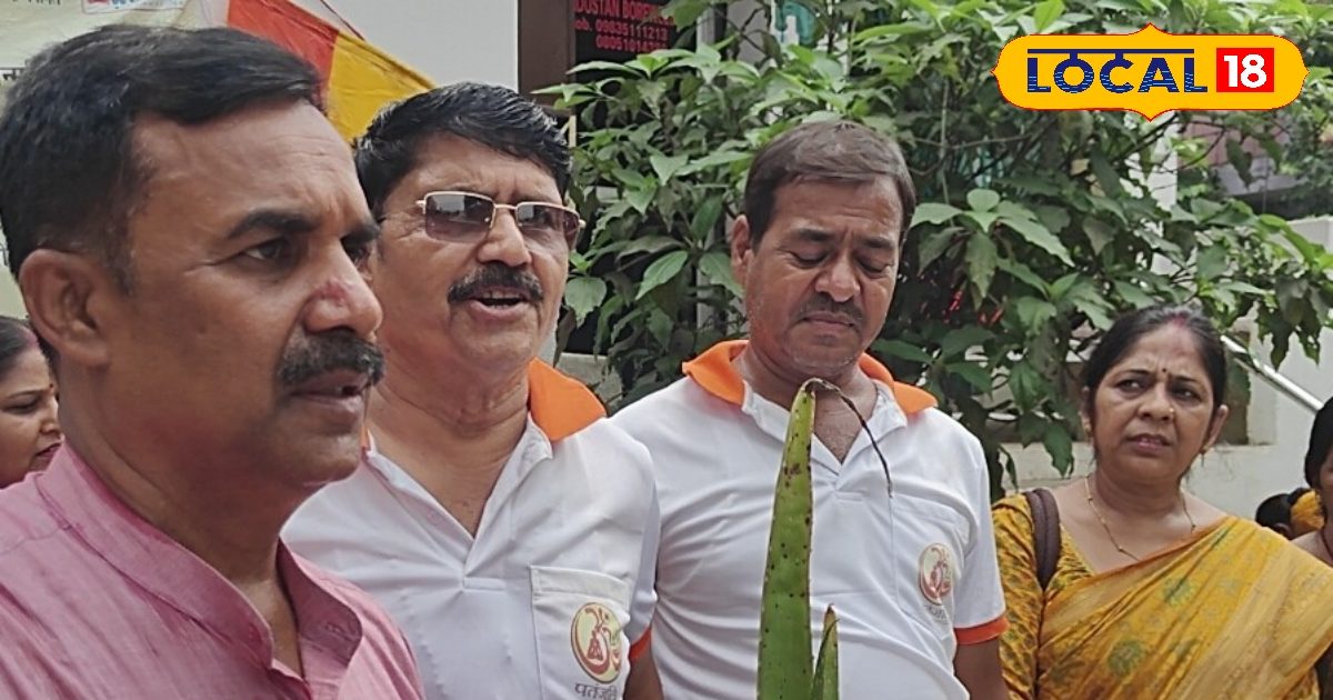 चेहरे पर लाना है नेचुरली ग्लो? इस जादुई पौधों को घर में लगाएं, फोड़े-फुंसी हो जाएंगे गायब