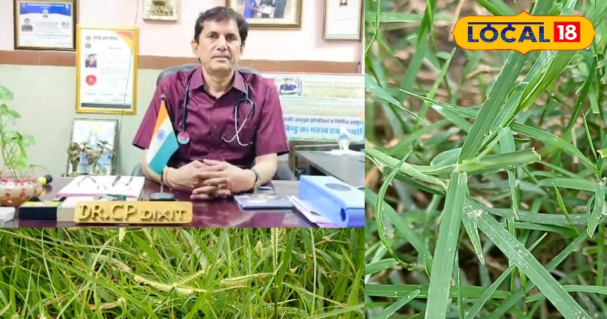 जिसे आप घास समझते हैं, वो है औषधियों का खजाना… जानिए दूर्वा के चमत्कारी फायदे