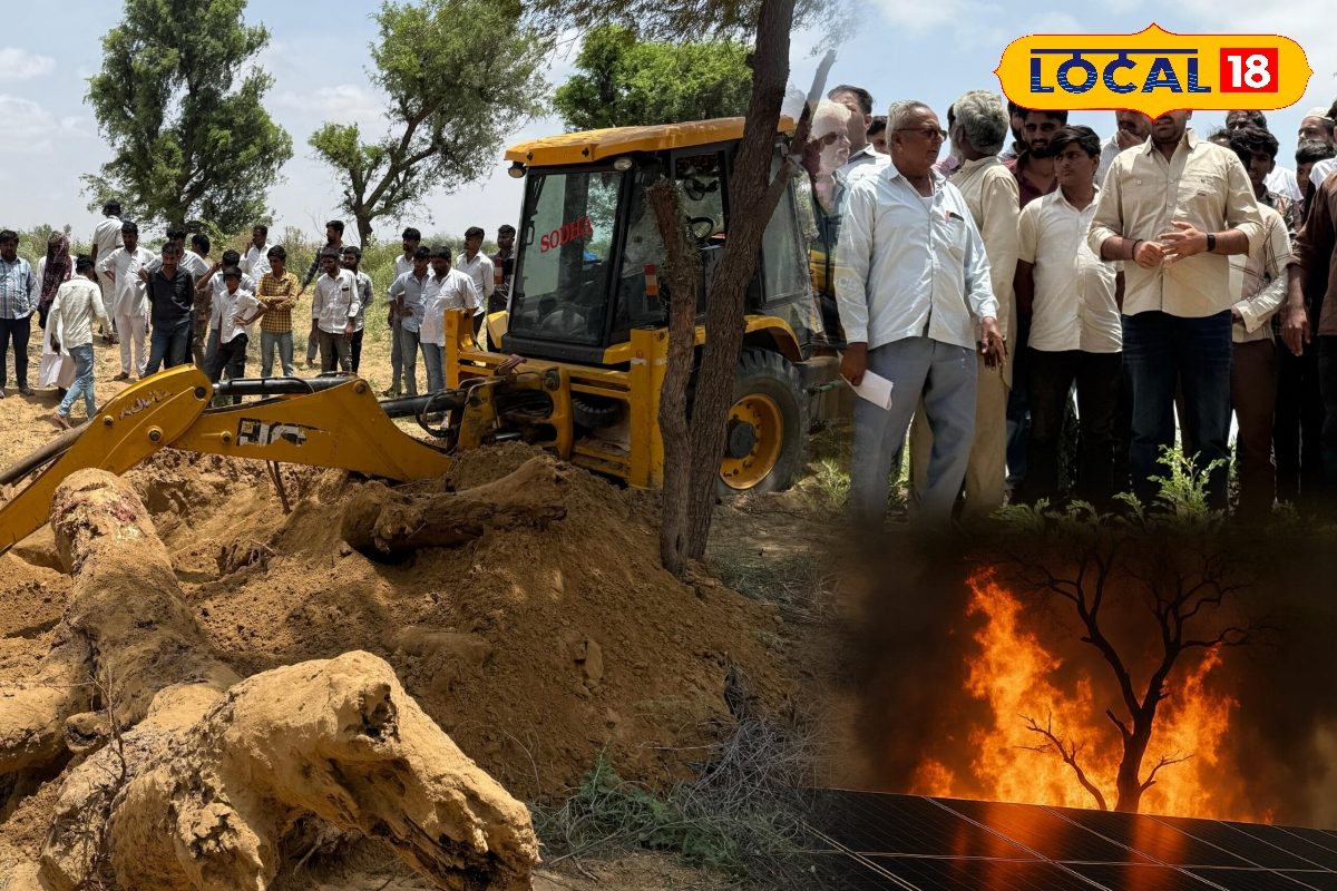 रेगिस्तान में हरियाली की हत्या! सोलर के खिलाफ लोगों का फूटा गुस्सा...