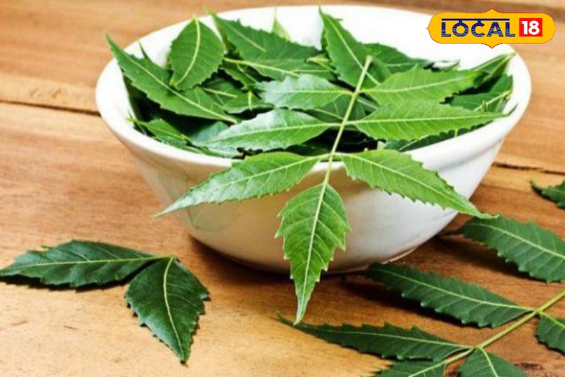 Benefits of neem leaves, glowing skin tips, Home remedies to boost immunity, Ayurvedic tips, health tips, local18, khargone letest news, Madhya Pradesh hindi news