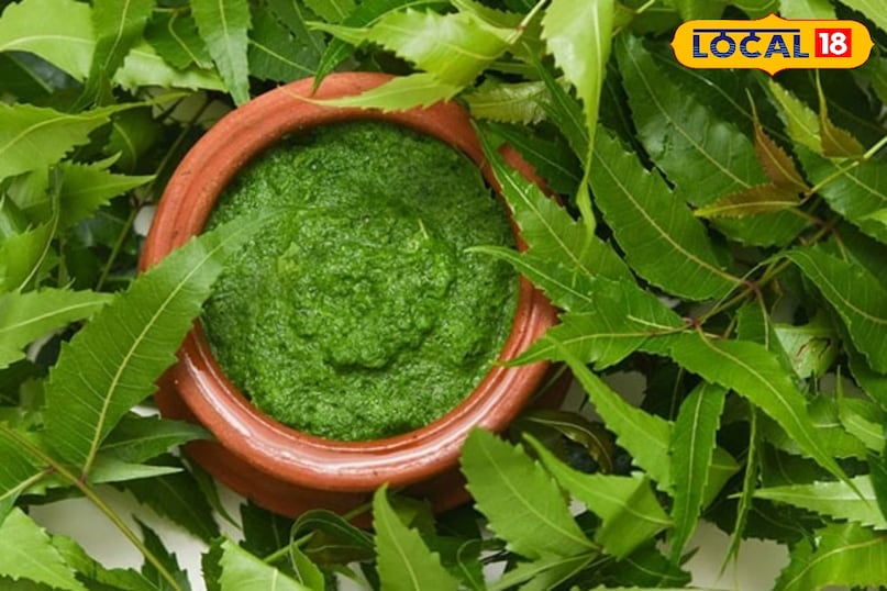 Benefits of neem leaves, glowing skin tips, Home remedies to boost immunity, Ayurvedic tips, health tips, local18, khargone letest news, Madhya Pradesh hindi news 