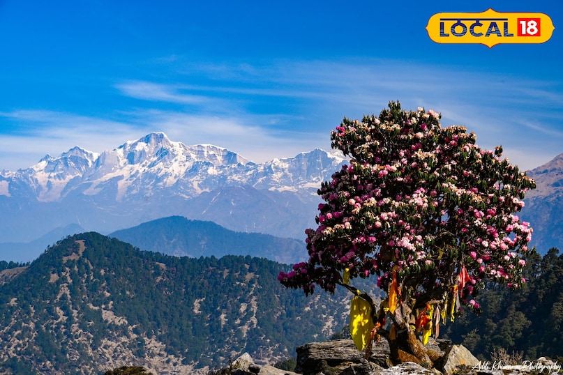 Chopta Chopta