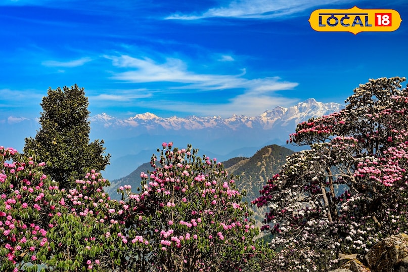 chopta chopta