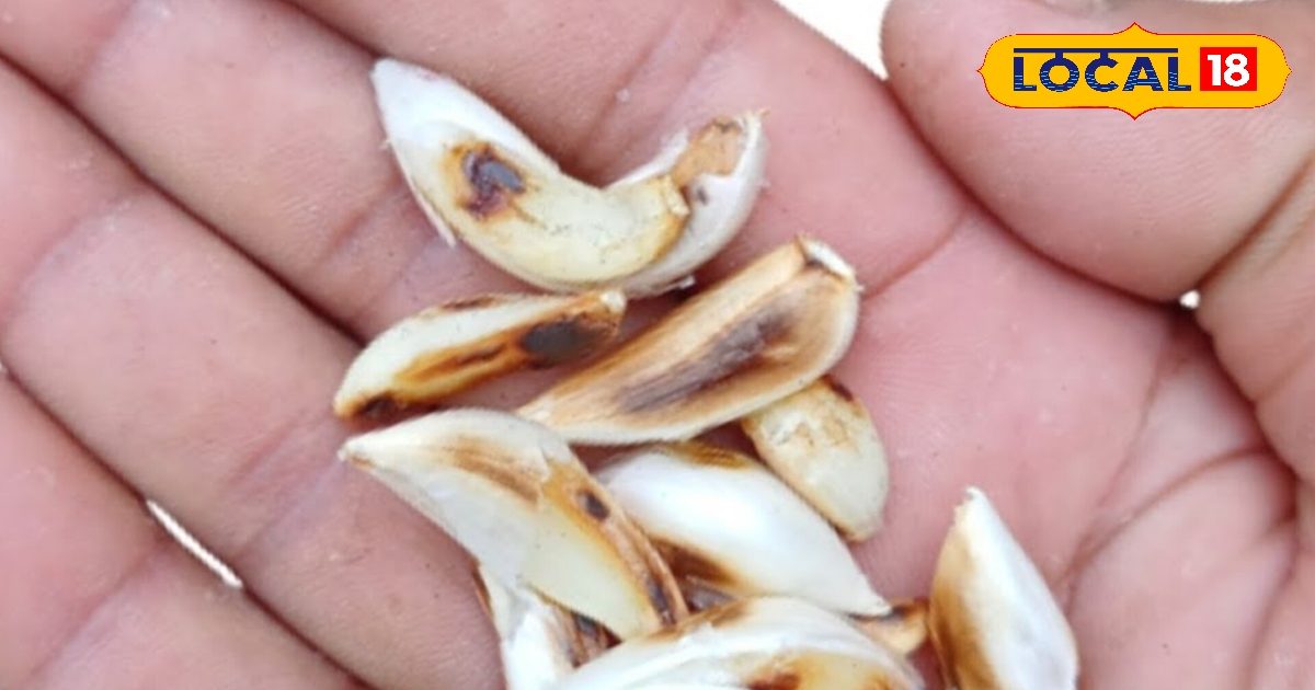 थकान और इम्यूनिटी की कमी से हैं परेशान? आजमाएं ये घरेलू नुस्खा, सुबह खाली पेट चबाने से मिलेंगे गजब के फायदे