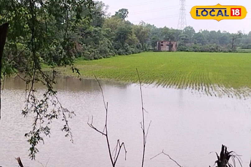 सागर मौसम अपडेट सागर मौसम अपडेट
