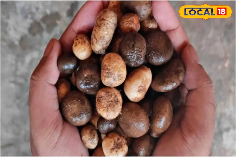 आती हैं कई मुश्किलें आती हैं कई मुश्किलें