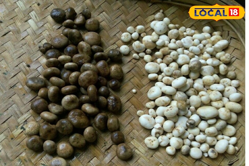प्राकृतिक रूप से उगता है 