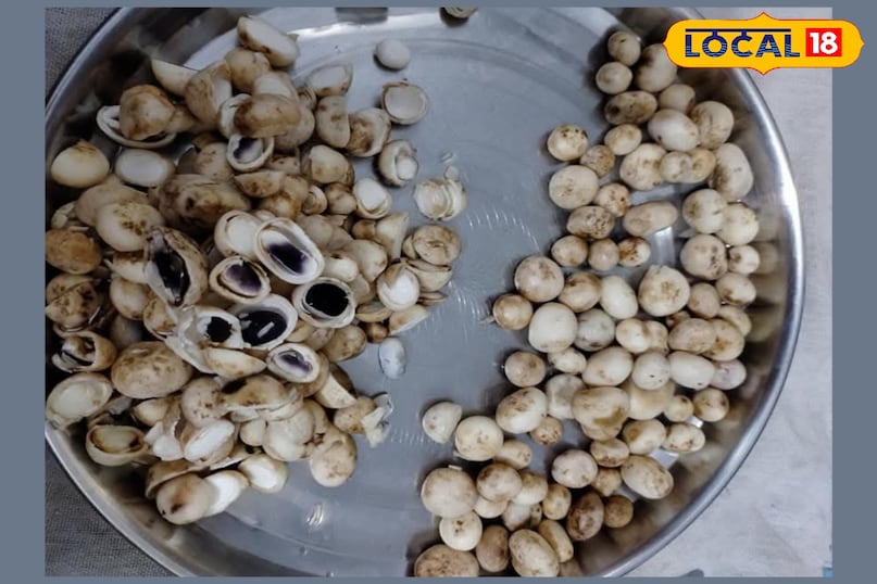 पानी से सफाई अनिवार्य पानी से सफाई अनिवार्य