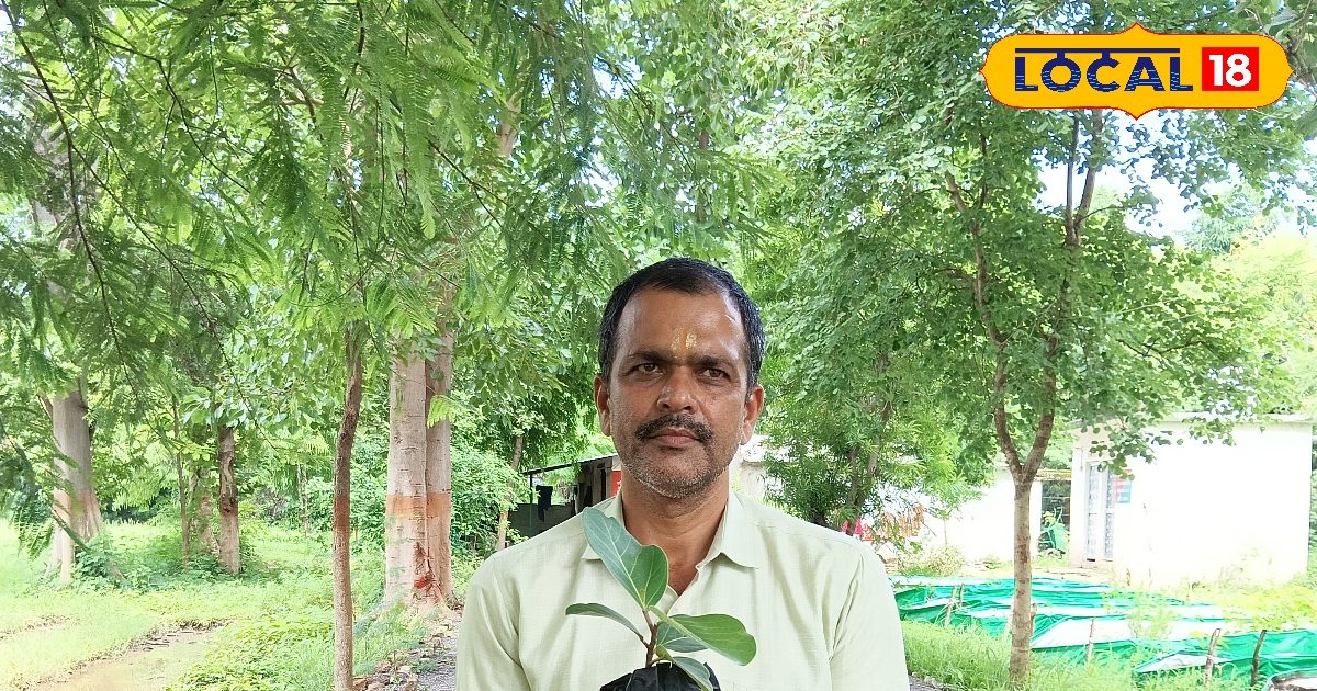 बच्चों की पढ़ाई में नहीं लगता ध्यान? सिर्फ 1 पत्ता बना देगा जीनियस और स्मार्ट, कंप्यूटर से भी तेज दौड़ेगा दिमाग