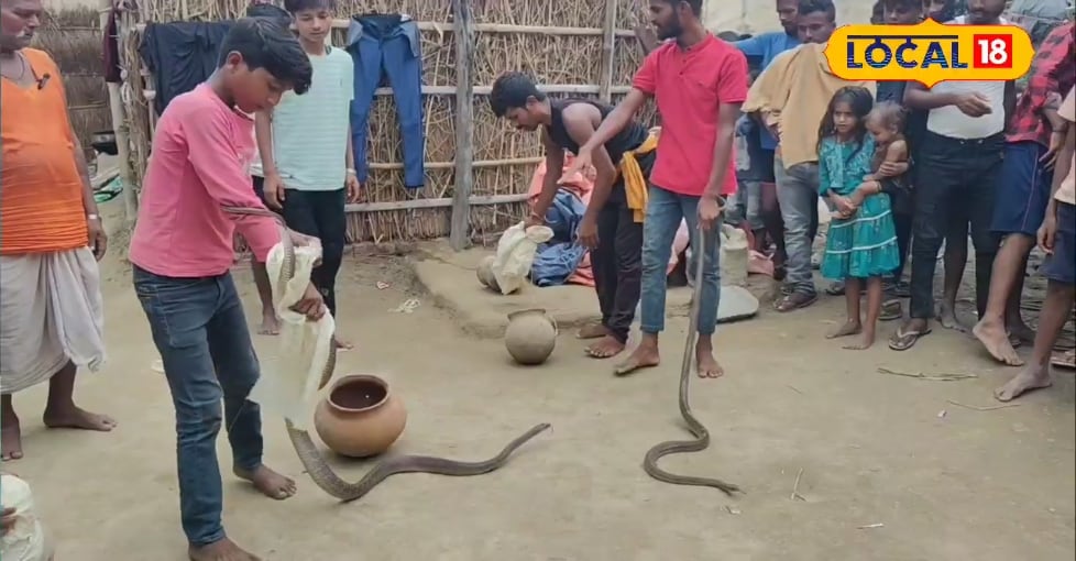 सांप के काटने पर झाड़ फूंक से रहें दूर, बिहार के इस अस्पताल में बच जाएगी जान