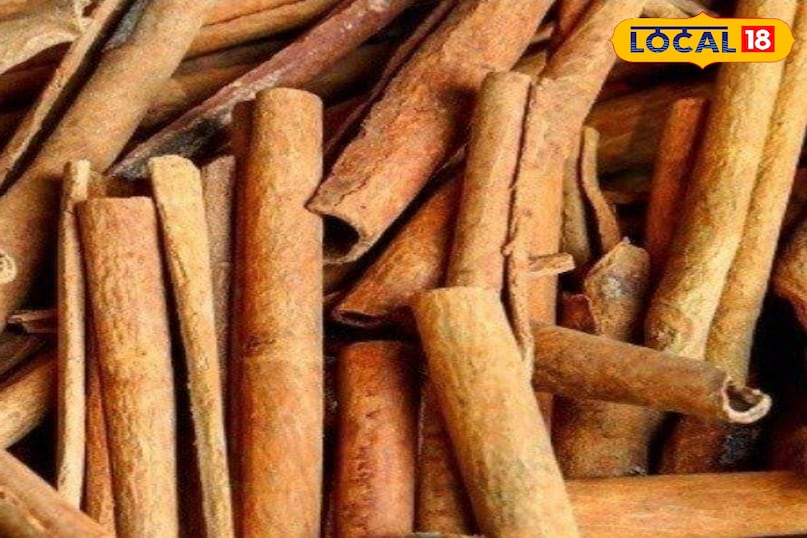 दालचीनी 