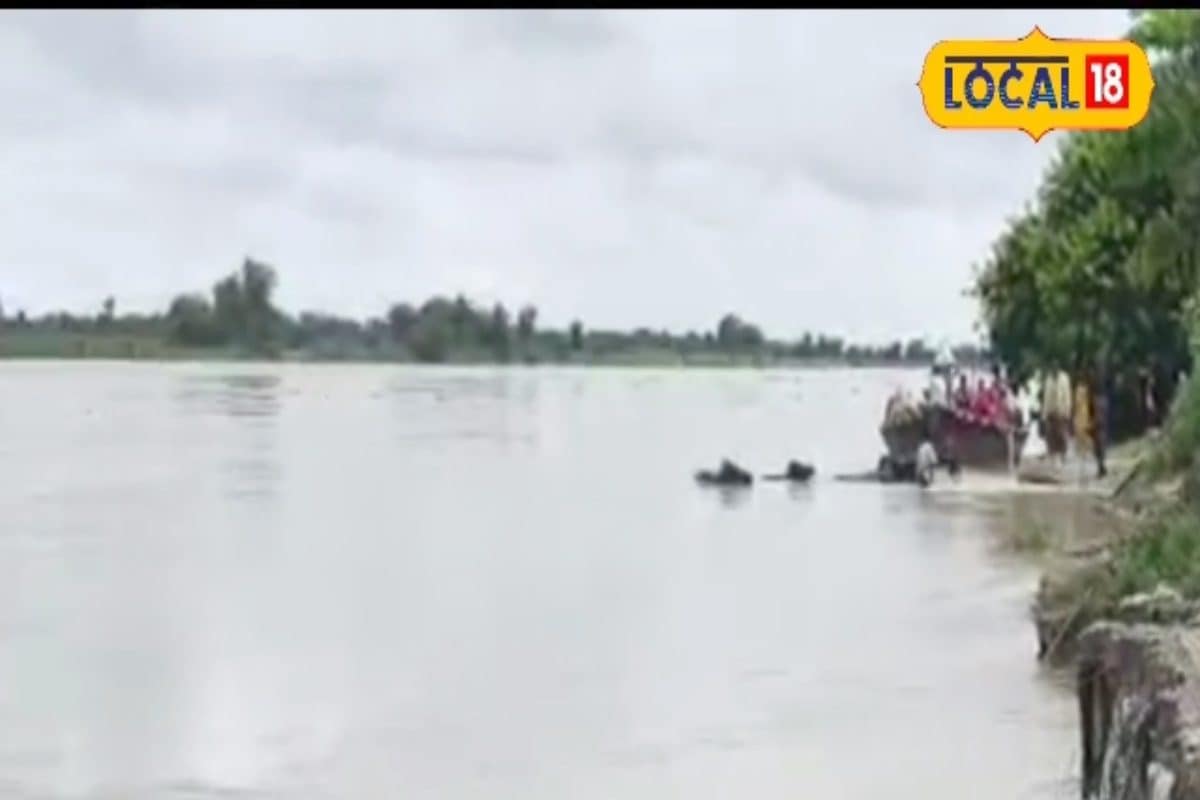कई परिवार उजड़ जाएंगे..! कहर बरपा रही कोसी नदी, तेज हुआ कटाव, Ground Report