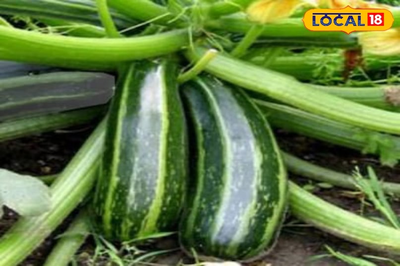 moradabad news,hindi news,up news,local news, मुरादाबाद समाचार, हिंदी समाचार, यूपी समाचार, लोकल समाचार। moradabad news,hindi news,up news,local news, मुरादाबाद समाचार, हिंदी समाचार, यूपी समाचार, लोकल समाचार।