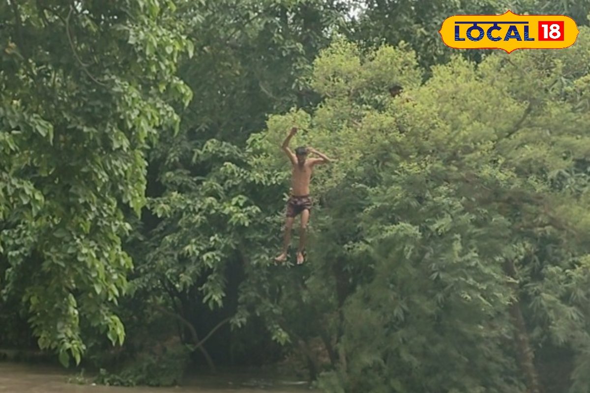ये बच्चे हैं या साक्षात Tarzan का अवतार? कमजोर दिल वाले न देखें ये वीडियो!