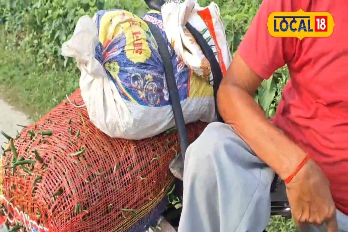 सब्जी है या पैसों की मशीन! यह किसान महज एक एकड़ से हर महीने कर रहा शानदार कमाई