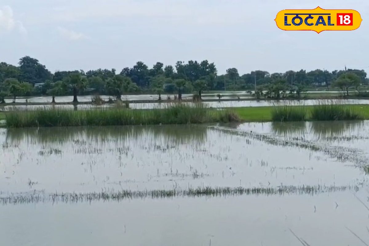 भागलपुर के इन इलाकों में न खरीदें जमीन, इस वजह से खरीद-बिक्री पर लगी है रोक