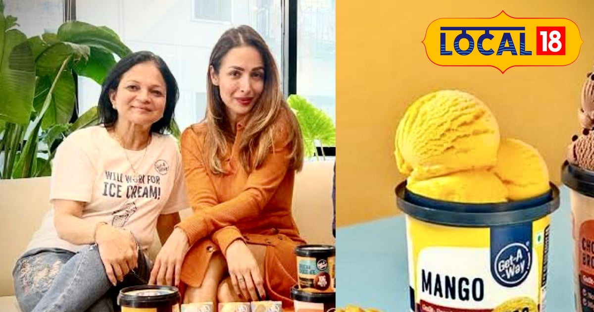 घर के कमरे से हुई इस आइसक्रीम की शुरुआत, शार्क टैंक से मिल चुकी है फंडिंग, मलाइका अरोड़ा हैं ब्रांड एंबेसडर