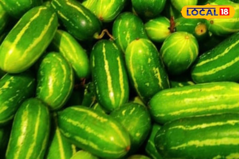 moradabad news,hindi news,up news,local news, मुरादाबाद समाचार, हिंदी समाचार, यूपी समाचार, लोकल समाचार। 