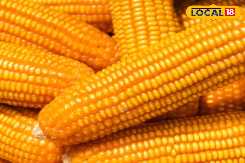 Meerut, rain, dumplings, corn, maize, taste, recipe, local-18, meerut, rain, dumplings, corn, corn, taste, recipe, local-18 Meerut, rain, dumplings, corn, maize, taste, recipe, local-18, meerut, rain, dumplings, corn, corn, taste, recipe, local-18