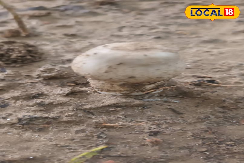 फूल