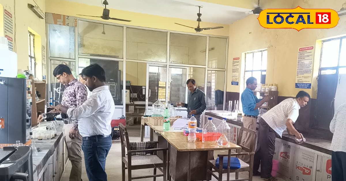 सिंचाई, निराई और कटाई से ज्यादा जरूरी, किसानों का सदियों से जोड़ीदार, ये सुरक्षित तभी खेती सेफ