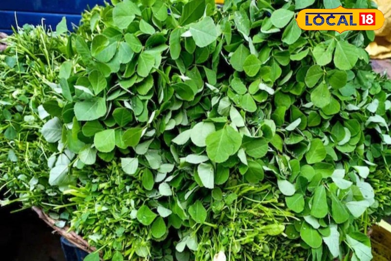 Organic leafy greens cultivation, Tips and tricks, local18, khargone letest news, Madhya Pradesh hindi news Organic leafy greens cultivation, Tips and tricks, local18, khargone letest news, Madhya Pradesh hindi news