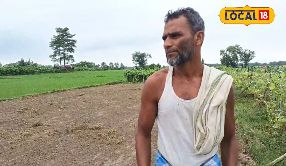 इस फसल की खेती किसानों को बना देगी मालामाल, सिर्फ 30 दिन में होगी बंपर कमाई