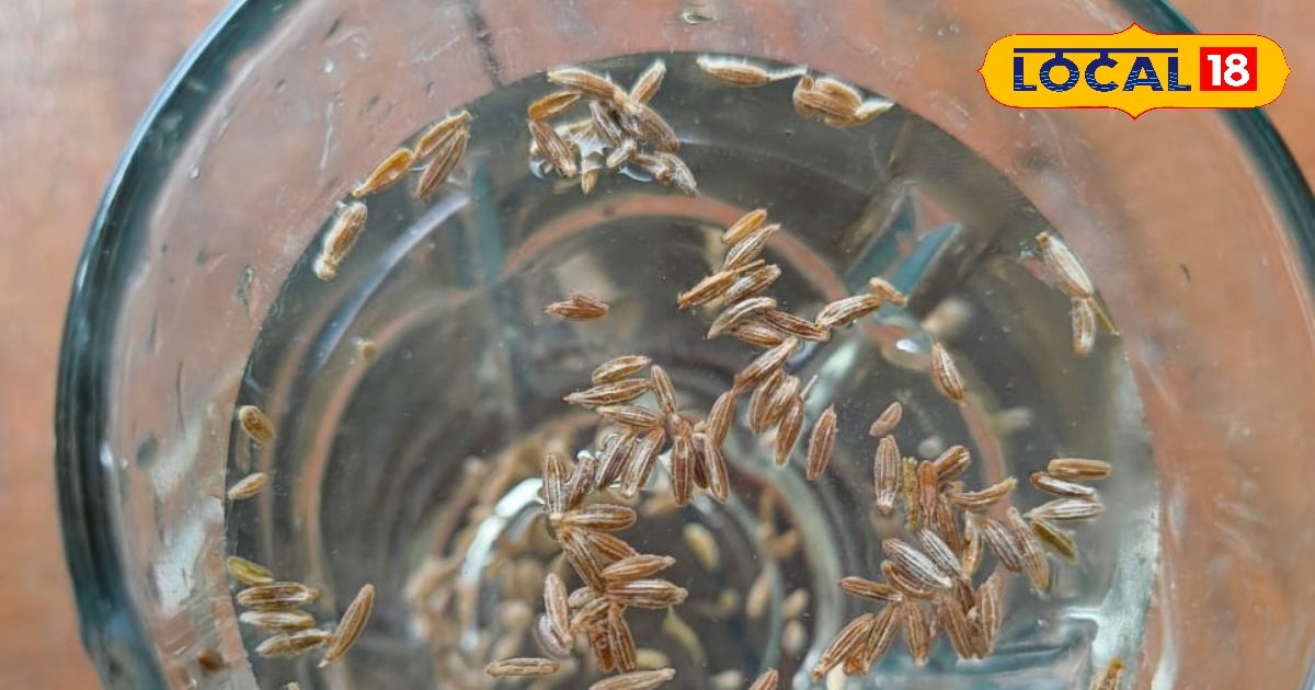सेहत के लिए वरदान है ये मसाला, कई बीमारियों में मिलते हैं बड़े फायदे; डाइजेशन से वजन घटाने तक में मददगार