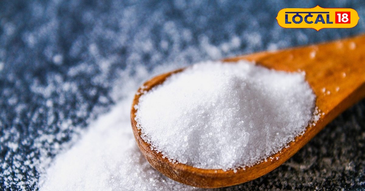 फूलों का टॉनिक है ये सफेद पाउडर, महीने में एक बार डालें, फूलों से भर जाएगी बगिया, गुलाब के लिए संजीवनी समान!