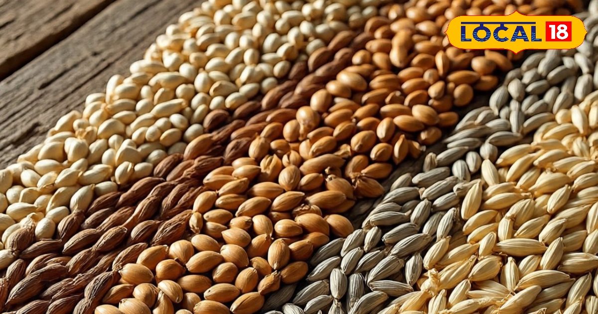 घर पर ऐसे बनाएं मल्टीग्रेन आटा, प्रोटीन और न्यूट्रिशन के साथ रखें वजन कंट्रोल