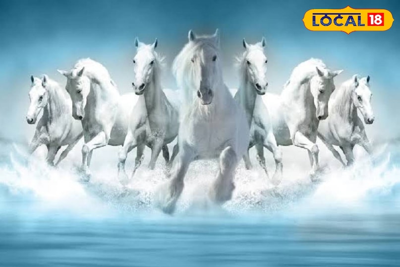घर में क्यों लगाई जाती है सात भागते घोड़ों की तस्वीर? जानिए इसके फायदे और सही दिशा घर में क्यों लगाई जाती है सात भागते घोड़ों की तस्वीर? जानिए इसके फायदे और सही दिशा