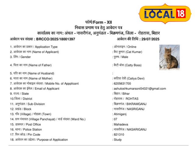बिल्ली की फोटो, नाम कैट कुमार, पिता कैटी बॉस...रोहतास के दफ्तर में मची खलबली