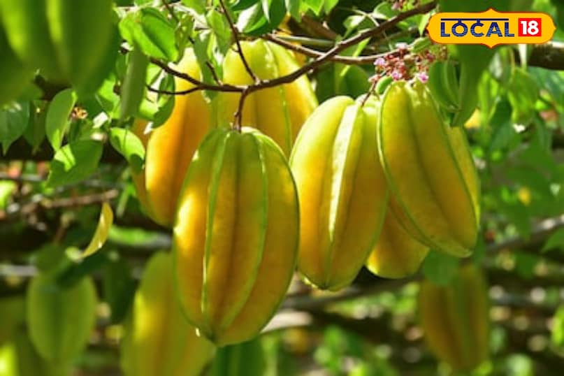 moradabad news,hindi news,up news,local news, मुरादाबाद समाचार, हिंदी समाचार, यूट्यूब समाचार, लोकल समाचार। 