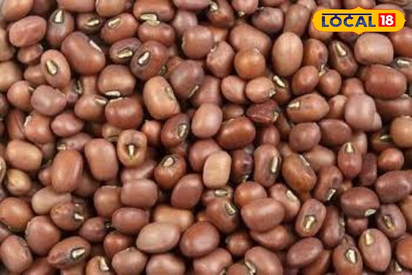 Mot ki daal Mot ki daal