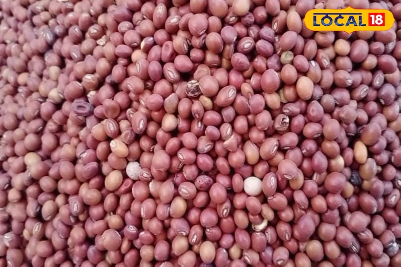 Mot ki daal Mot ki daal