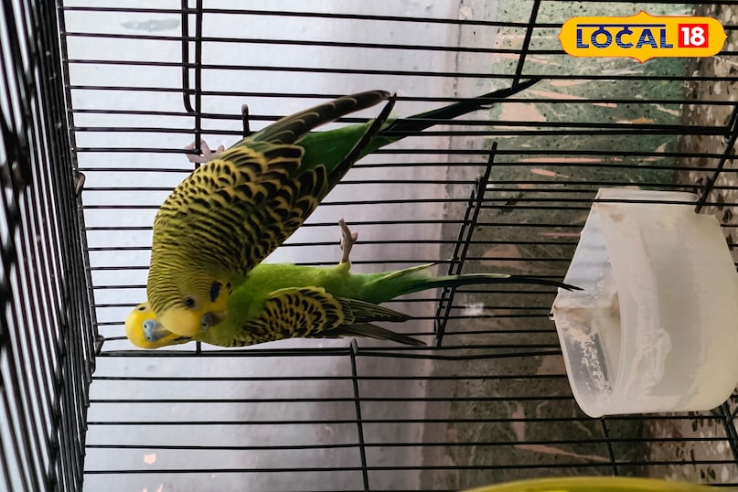 भीलवाड़ा भीलवाड़ा